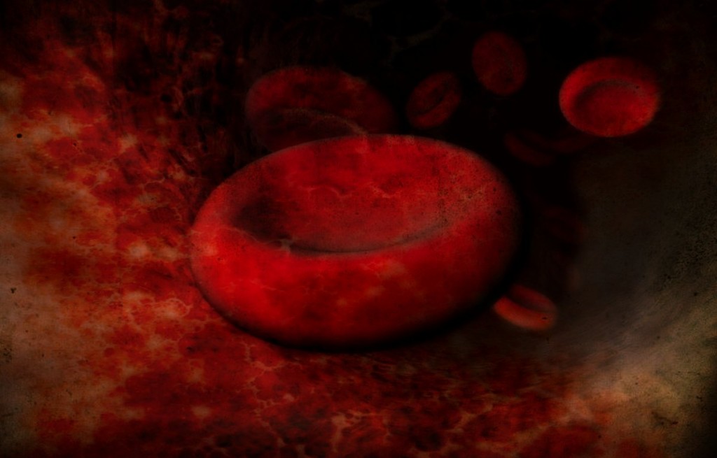 Blood Cells - Photo by: Andrew Mason - Source: Flickr Creative Commons